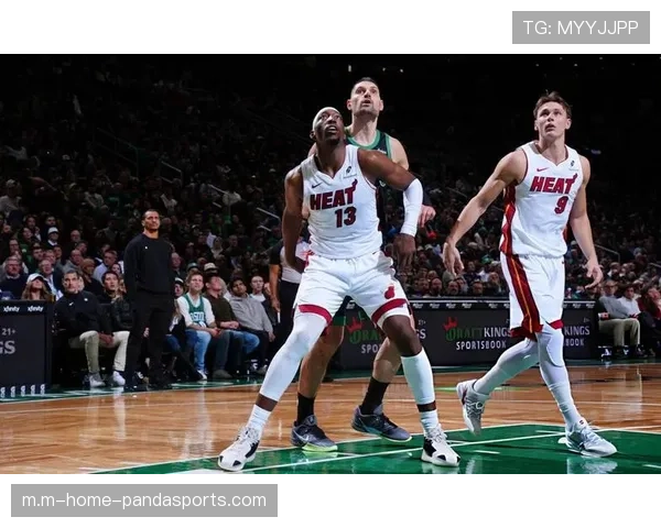 武切维奇绿军首秀13分8板 老将加盟后拉开空间作用立显